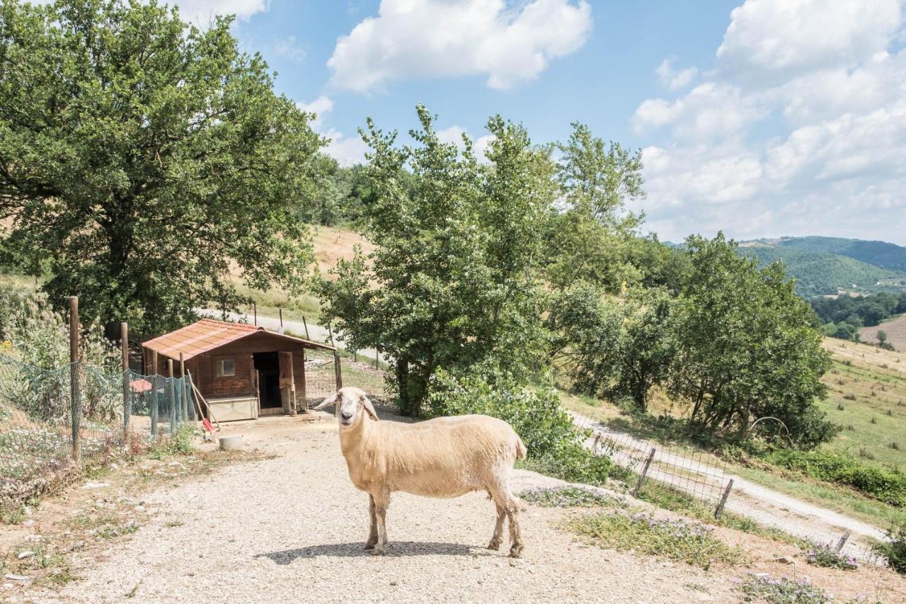 Agriturismo Goccia Di Luna Umbertide Exteriör bild