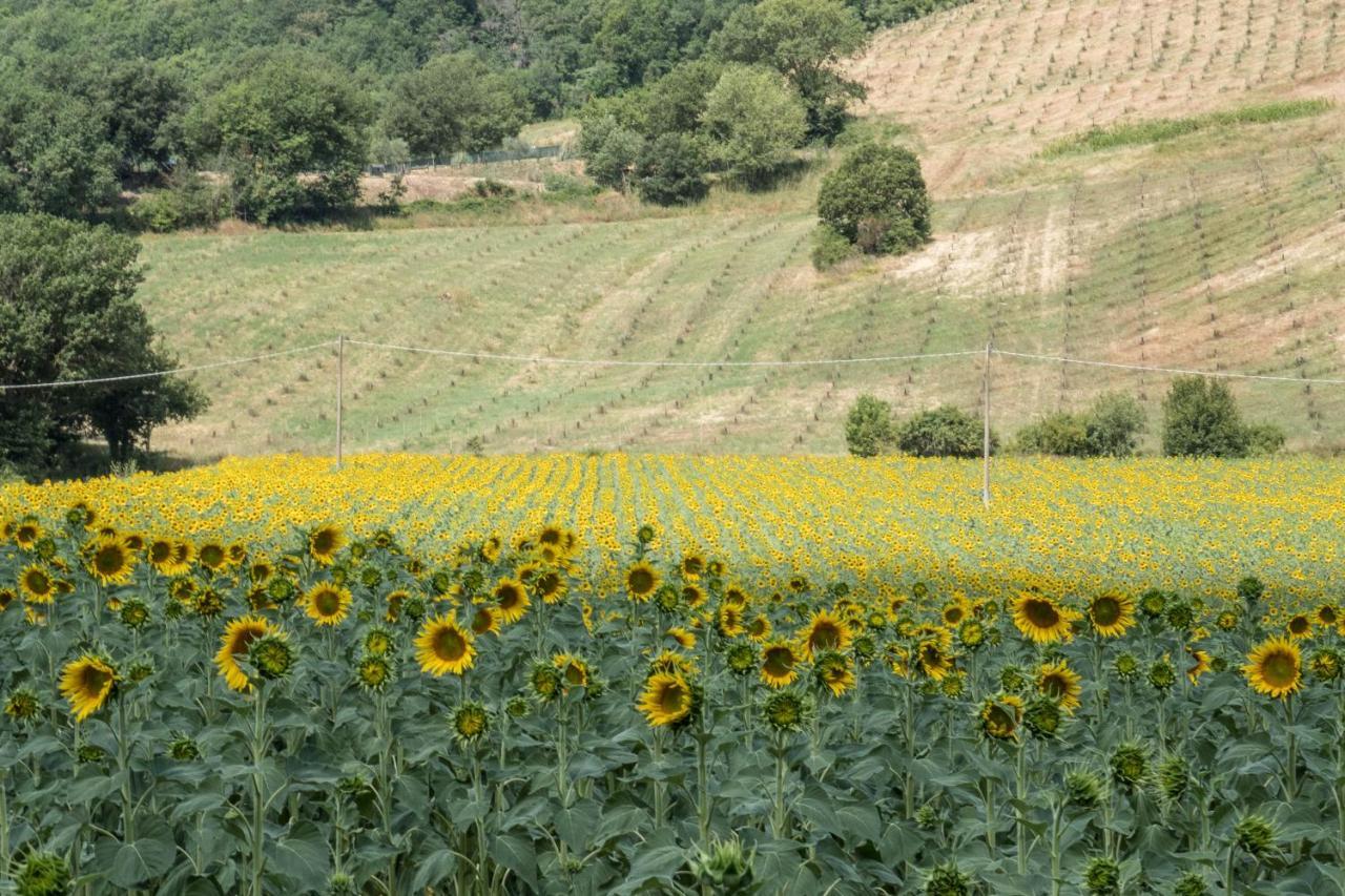 Agriturismo Goccia Di Luna Umbertide Exteriör bild